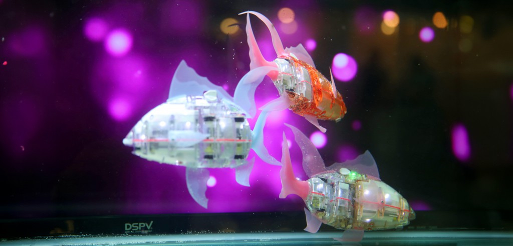 Get Ready for the Robotic Fish Revolution