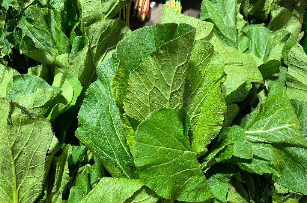 Why Bayer and the Gates Foundation are using CRISPR to reduce food's climate impact