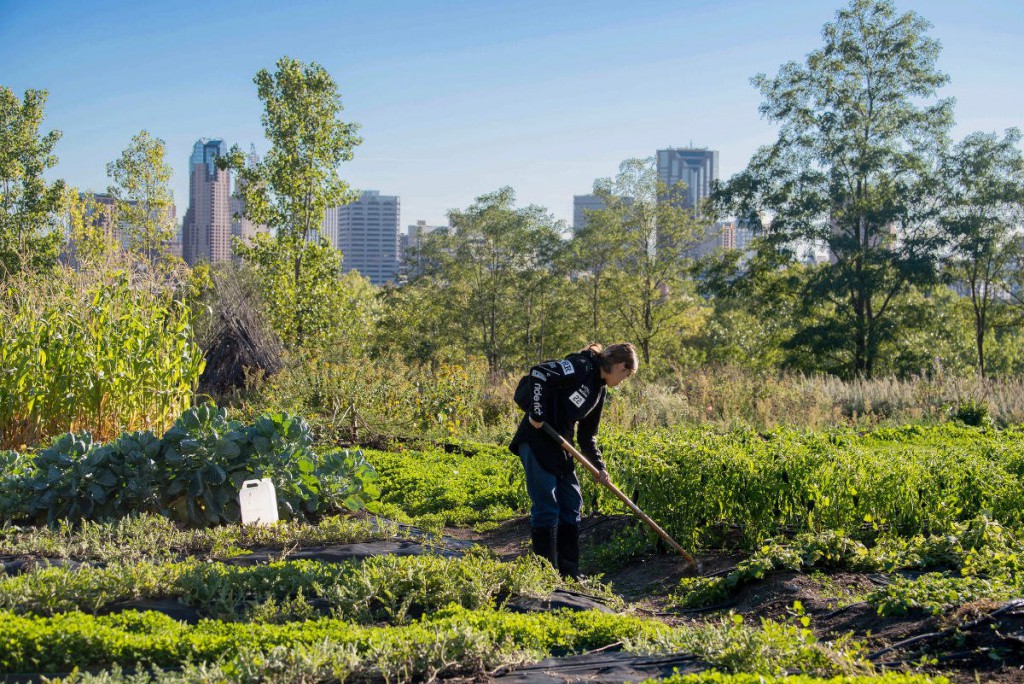 Despite Recent Headlines, Urban Farming Is Not a Climate Villain