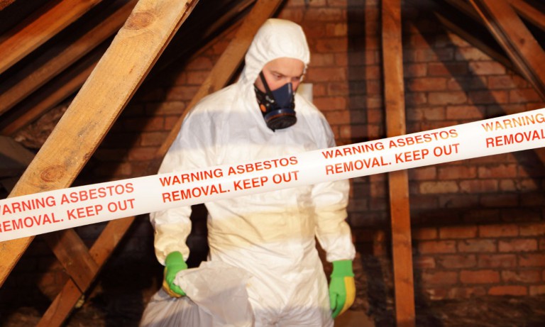 A Triumph and Disgrace: The Very Slow Road to Banning Asbestos