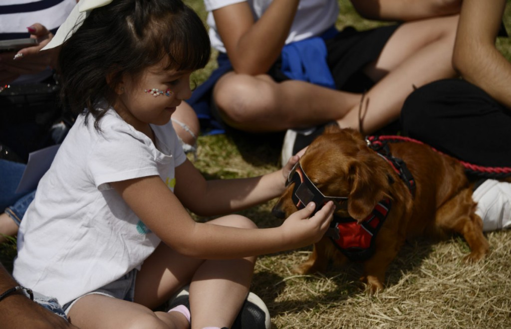 Researchers to observe how total solar eclipse affects animal behavior