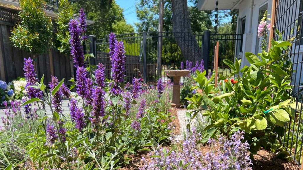 Cultivating Change: My Path to Sustainable Gardening