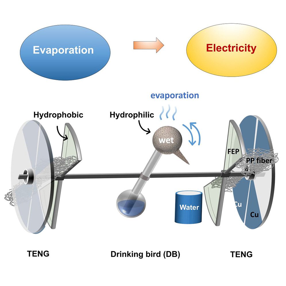 “Drinking Bird” Toy Generator Makes Electricity from Evaporating Water