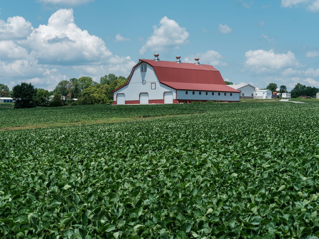 Red roofed barn amid a luscious field of crops in Missouri.