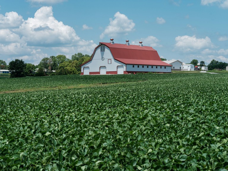 Red roofed barn amid a luscious field of crops in Missouri.