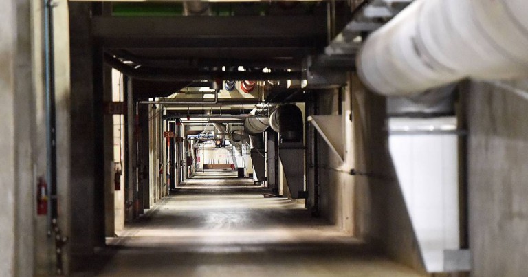 Can burying feces save the species?