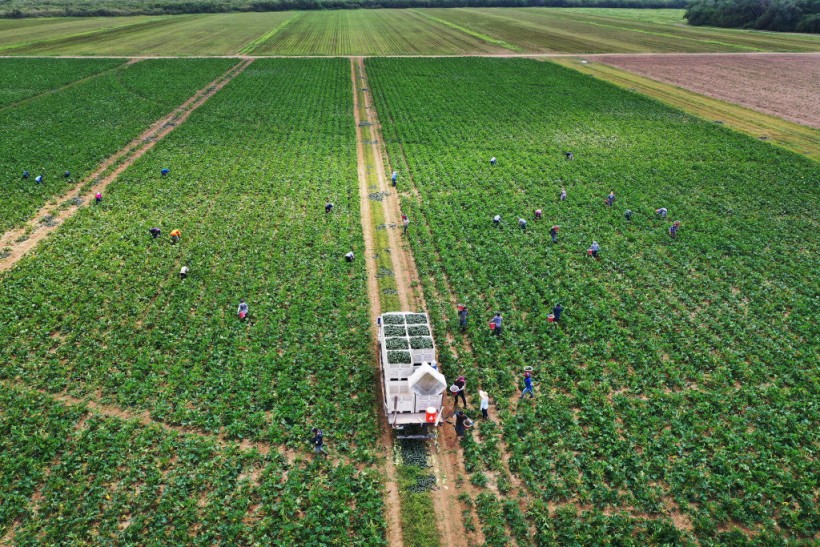 Geomagnetic Storm Disrupts Precision Agriculture, Outages Create Challenges for Farmers