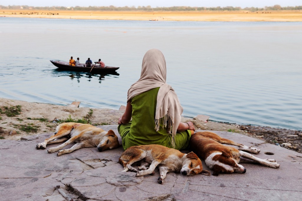 Steve McCurry’s ‘Animals I Have Met’: On the Complex Relationship between People and Their Animal Companions