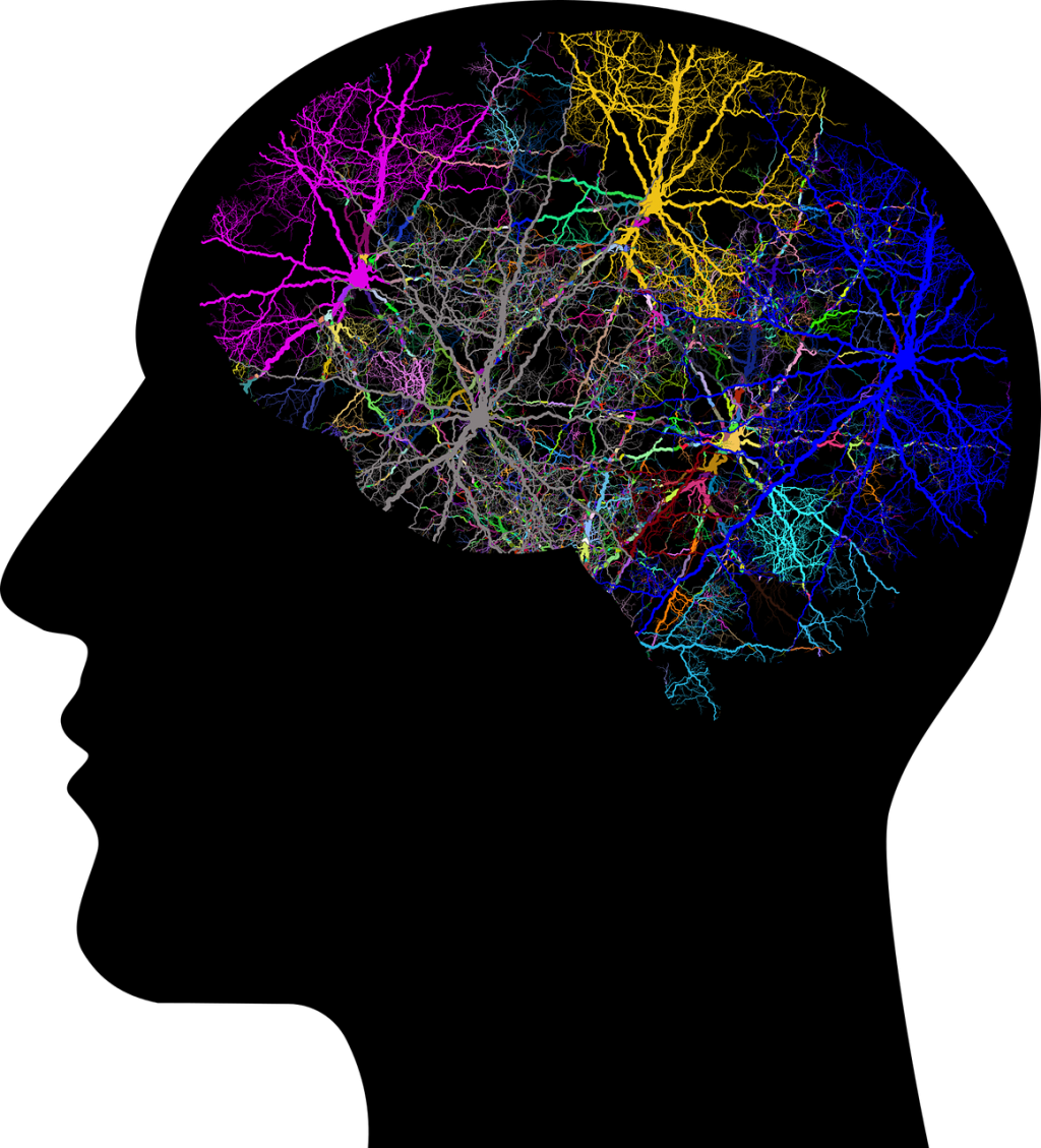 Bursts of colorful neurons inside an all black sideview of man's head.