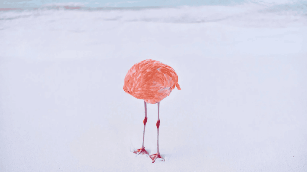 Real photo wins award in AI-generated photo competition and it’s all the irony we needed