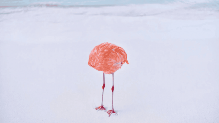 Real photo wins award in AI-generated photo competition and it’s all the irony we needed