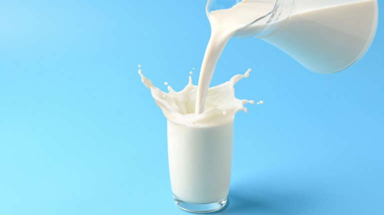 Before Fridges, Russians Used To Keep Their Milk Fresh With Frogs