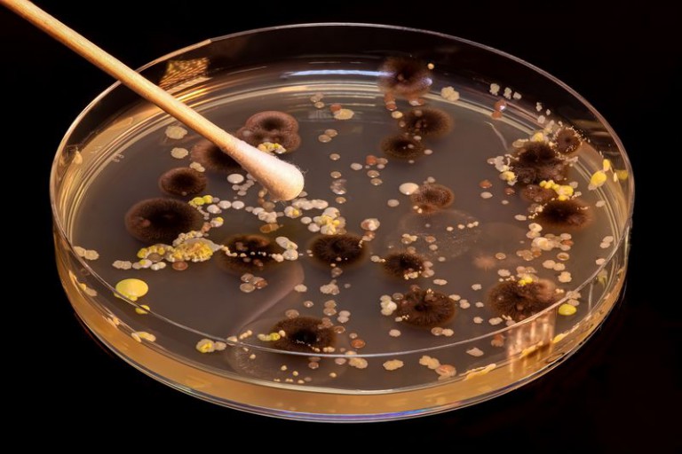 Bye Bye Superbugs? New Antibiotic Is Virtually Resistance-Proof
