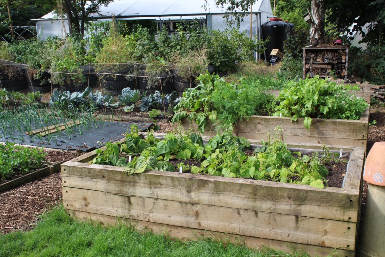 Ten Tips to Improve Your Garden Next Season. Modern Farmer - August 27, 2024.