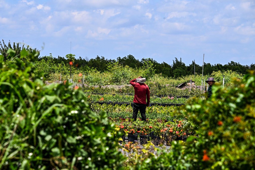 Deportations, raids and visa access. How the presidential election could alter life for immigrant farmworkers.