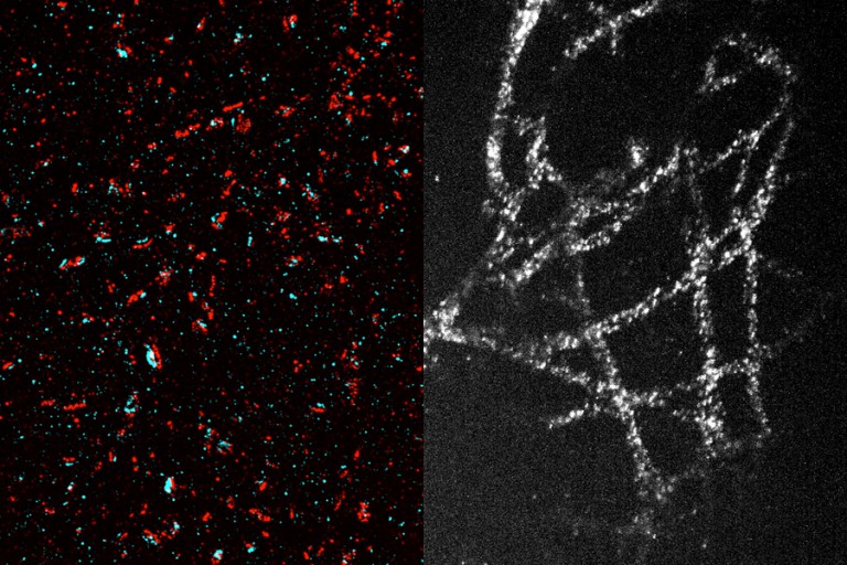 A new method makes high-resolution imaging more accessible