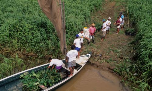 5 Things Countries Can Do this Year to Stop Biodiversity Loss