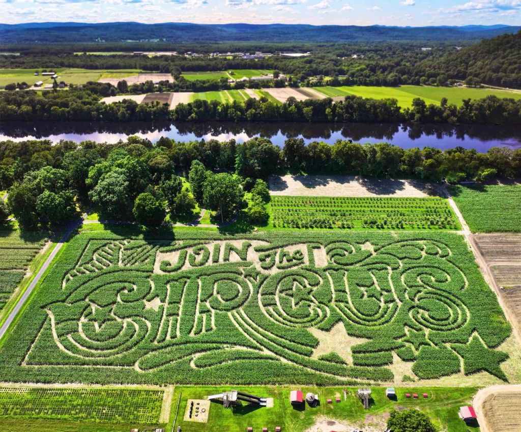 Inside the Weird World of Corn Mazes