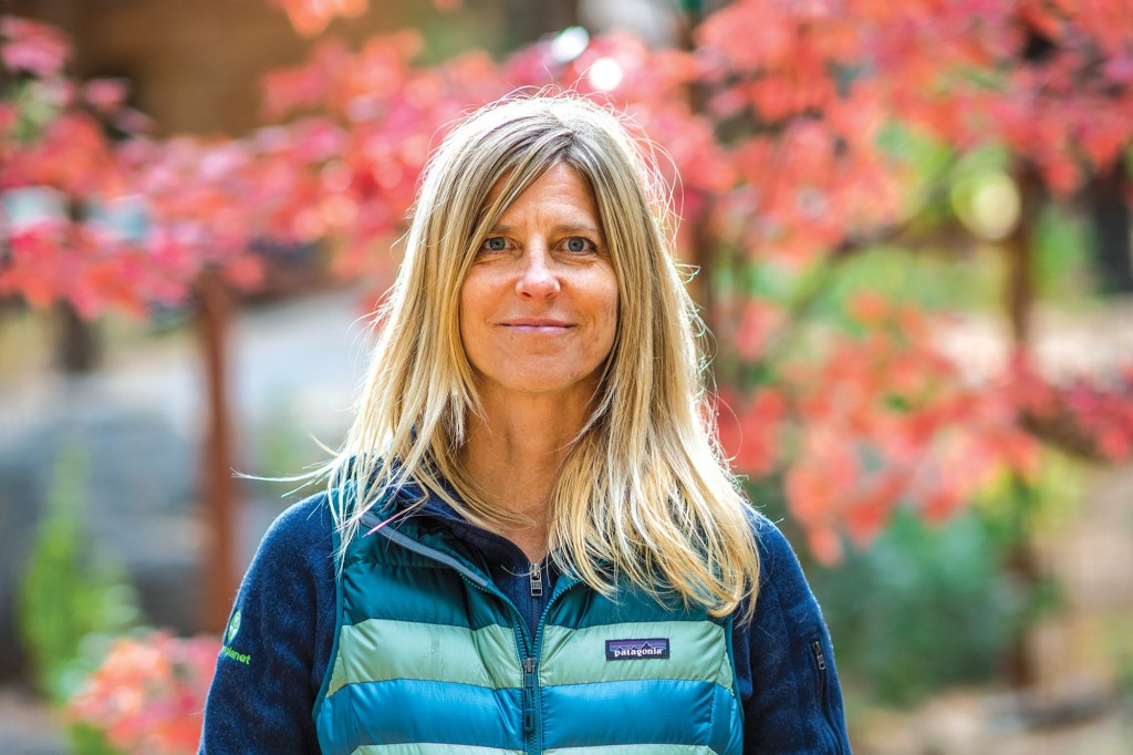After Working at Google and Facebook, She Started a Company to Fight Forest Fires. Now The Government Is Her Customer. Allison Wolff cofounded Vibrant Planet because she realized how much of an impact technology could have on land management — a huge aspect of controlling forest fires.