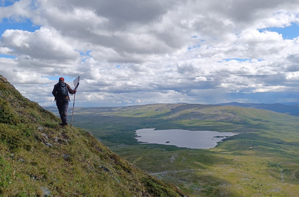 Once thought a fantasy, effort to sequence DNA of millions of species gains momentum