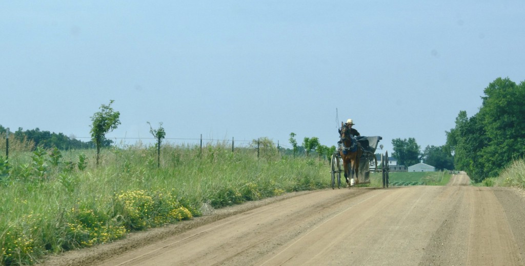 Amish farmers’ partnership with beef giant JBS produces manure mess
