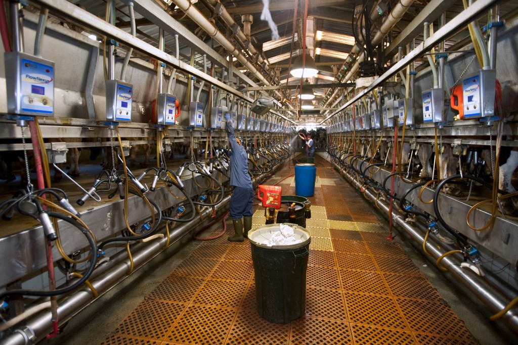 Rise in Avian Flu Cases Amplifies Concerns About Consolidation in Agriculture