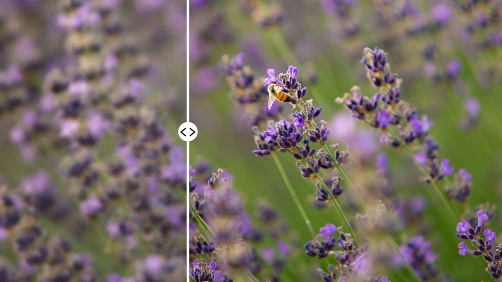 How AI is Revolutionizing Photography
