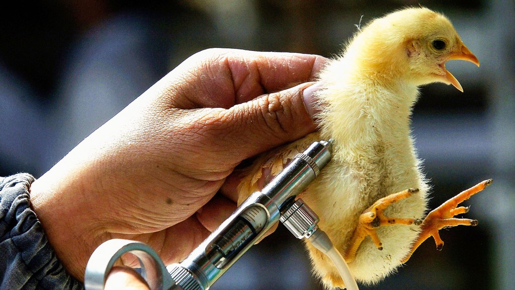 How the US is preparing for a potential bird flu pandemic