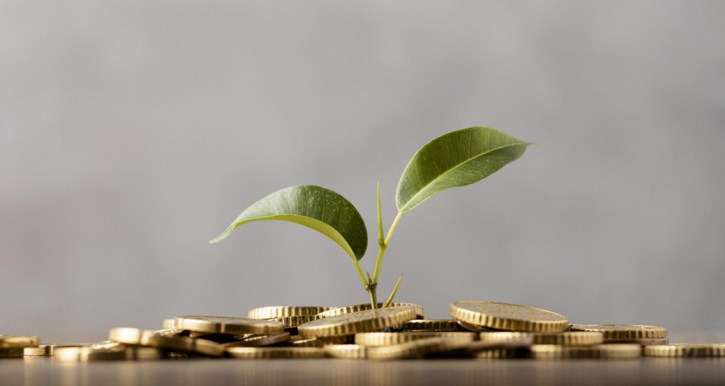 7 Steps to Set Up Your Business for Financial Success in 2025