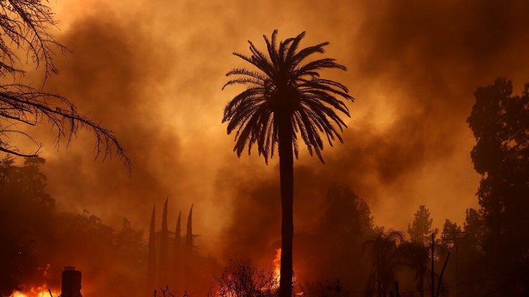 Disney donates $15 million to L.A. wildfire relief