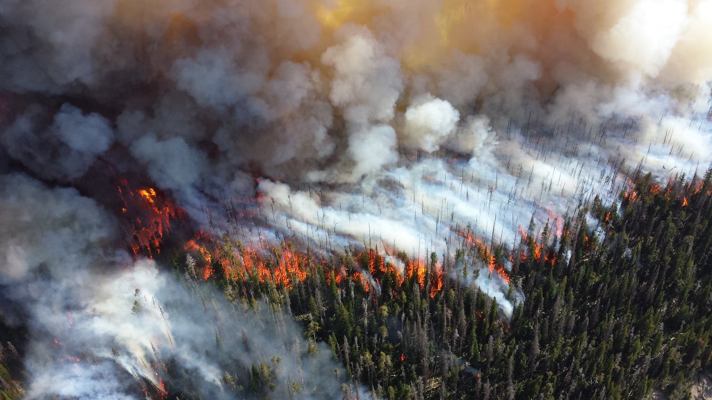 2013 photo of the Alder Fire in Yellowstone National Park.
