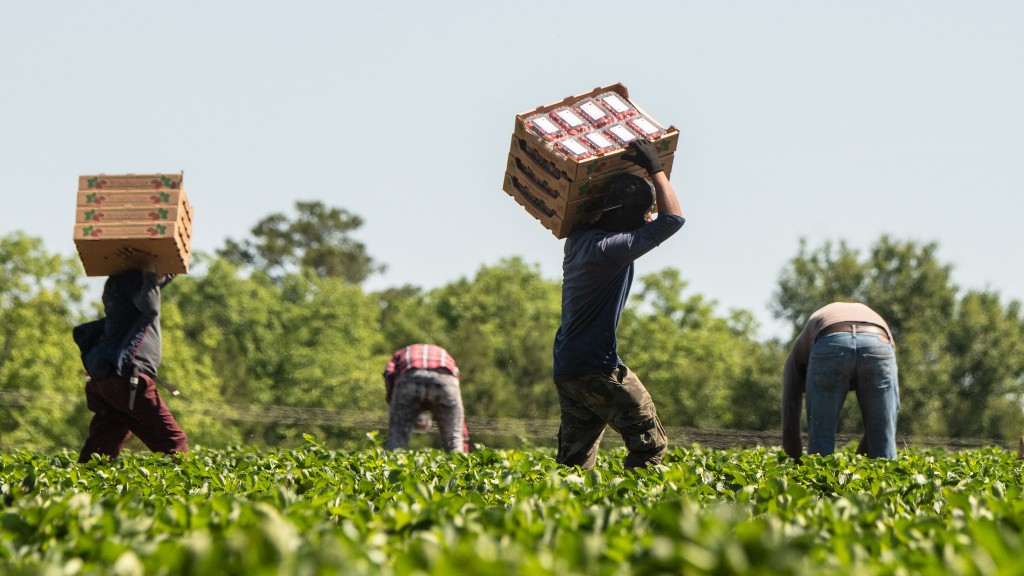 Amid Immigration Crackdowns, Lawmakers Reintroduce Farm Workforce Reforms