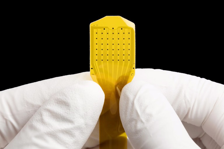 Flexible brain implant takes major leap forward