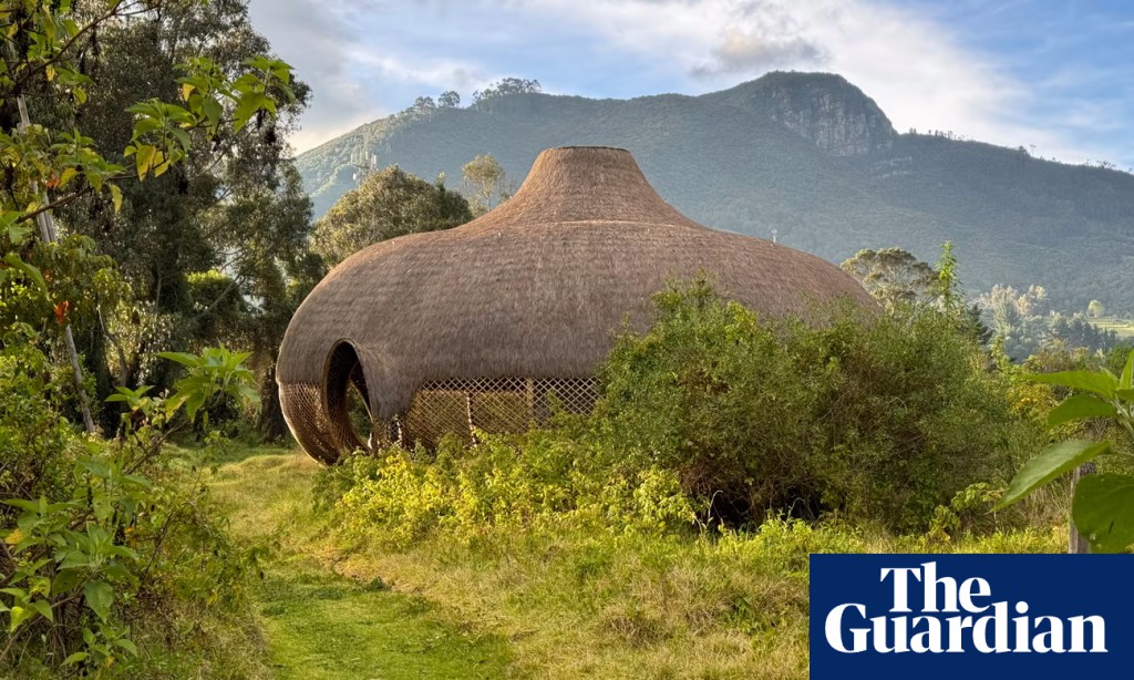 Organizmo! The Colombian architects overturning colonialist ‘sustainability’ ideas