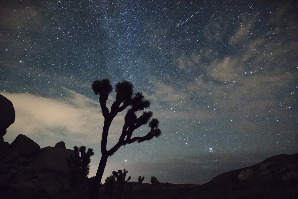 Perseids meteor shower in July: Viewing tips, when it will peak
