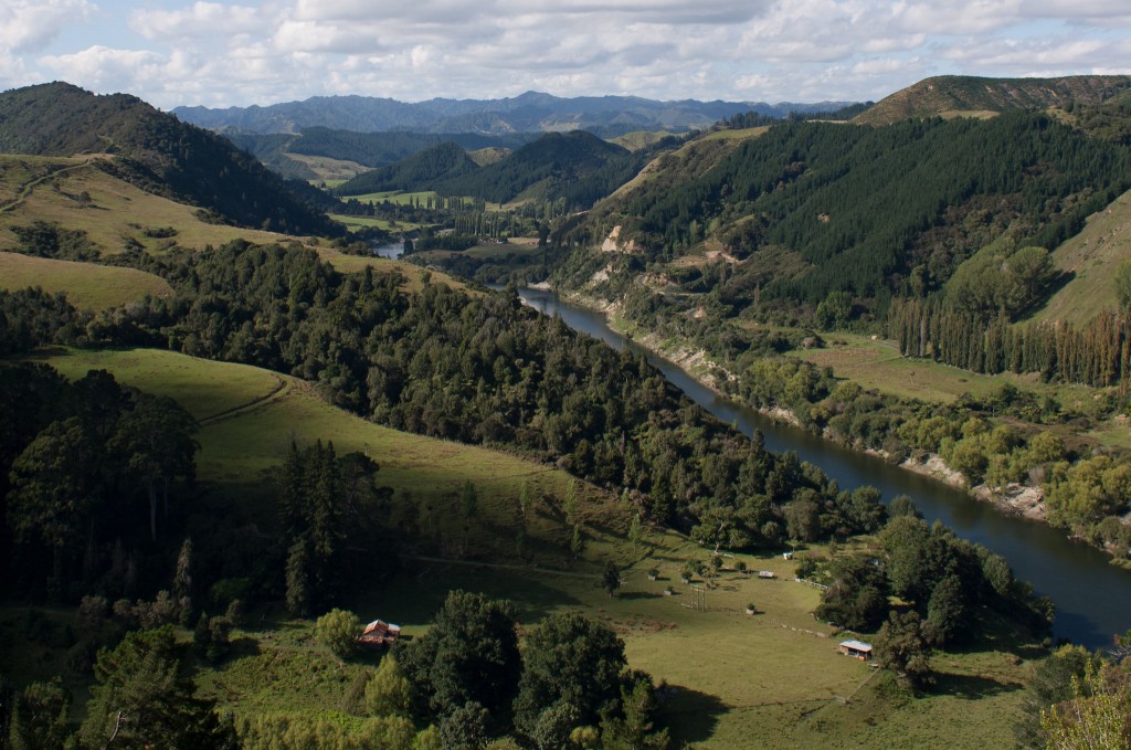 How the nature of environmental law is changing in defense of the planet and the climate