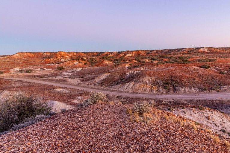 MIT Economist Warns AI Is Poised to Turn Economy Into "Mad Max" Scenario