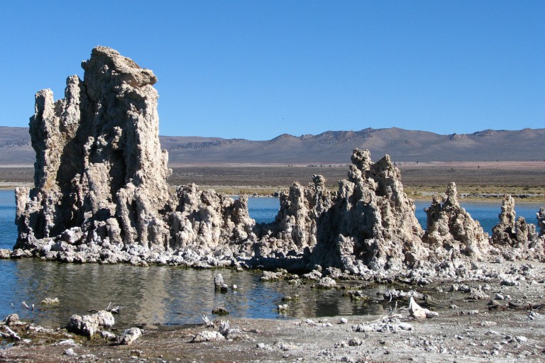 Trillions of Animals Rely On This Lake (And It’s Drying Up)
