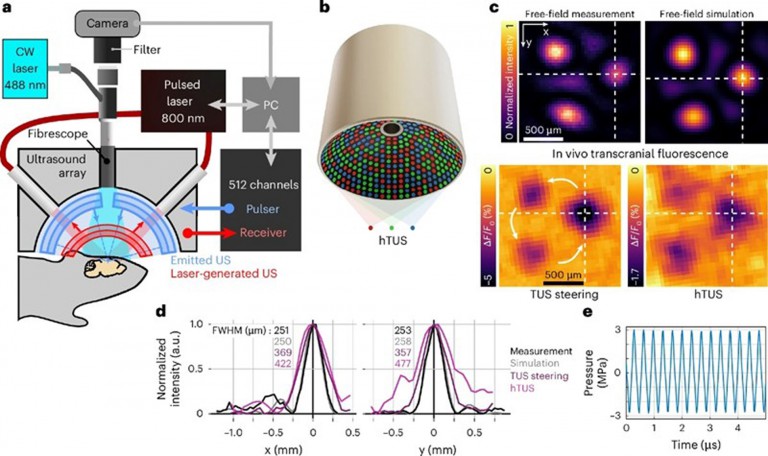 Holographic Ultrasound Breakthrough Enables Scientists to Unlock a New Frontier in Brain Stimulation Research