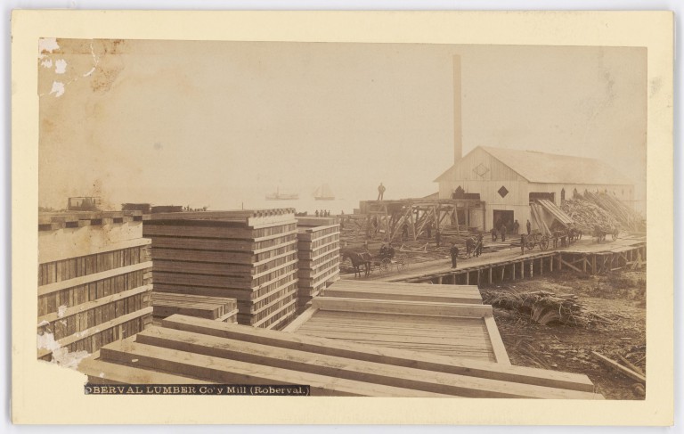 Why higher tariffs on Canadian lumber may not be enough to stimulate long-term investments in US forestry