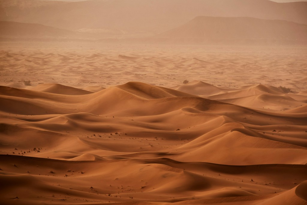 The Latest Climate News Is So Bad That You Should Probably Not Click This and Just Bury Your Head in the Sand