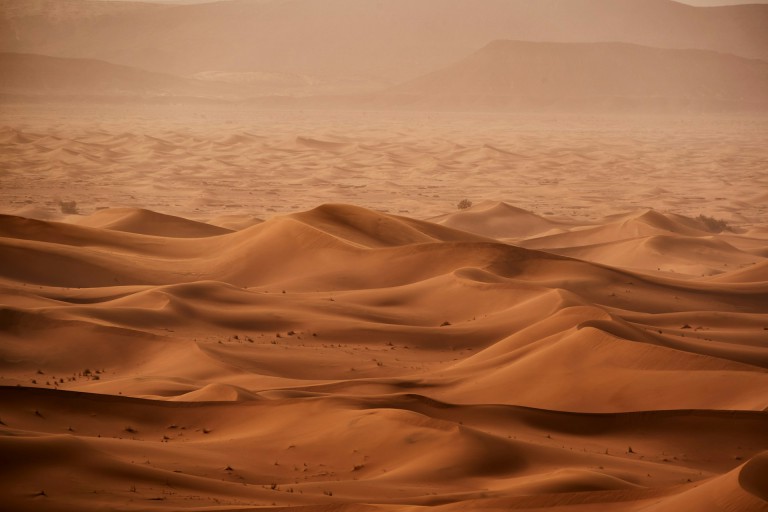 The Latest Climate News Is So Bad That You Should Probably Not Click This and Just Bury Your Head in the Sand