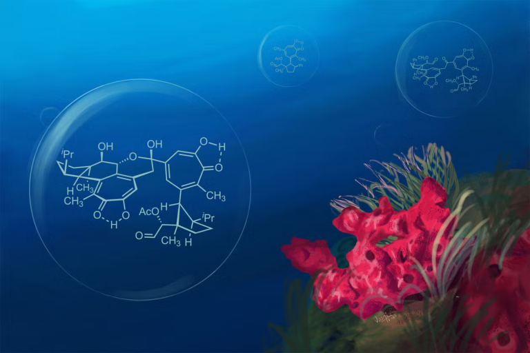 Yale Chemists Recreate a Sea-Sponge Molecule With Big Cancer-Fighting Potential