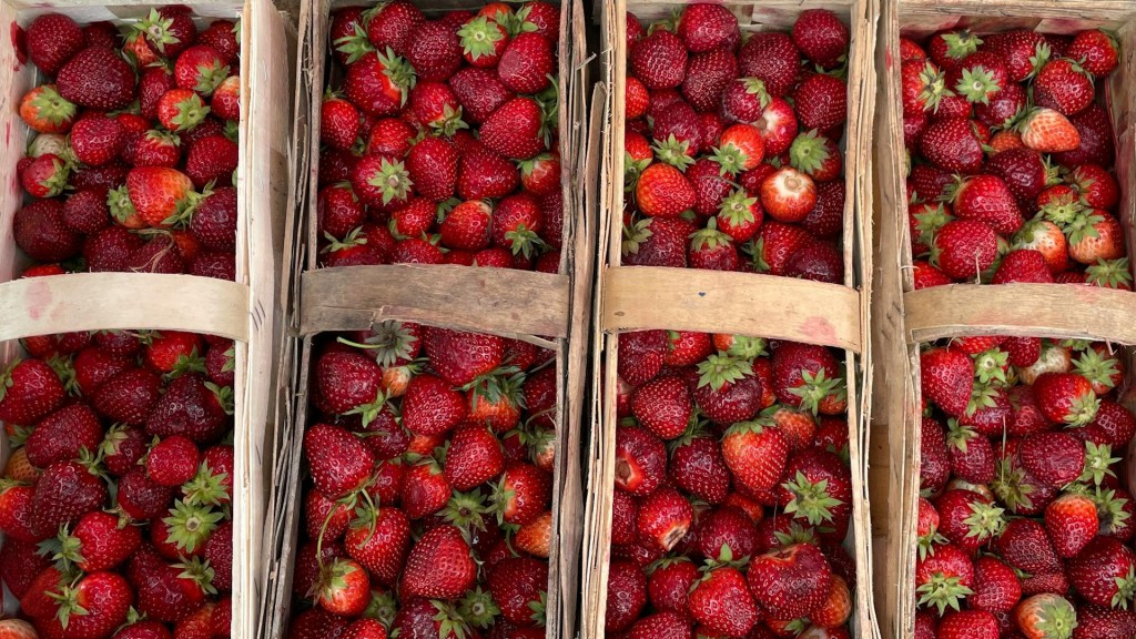 How ‘digital twins’ could help prevent cyber-attacks on the food industry