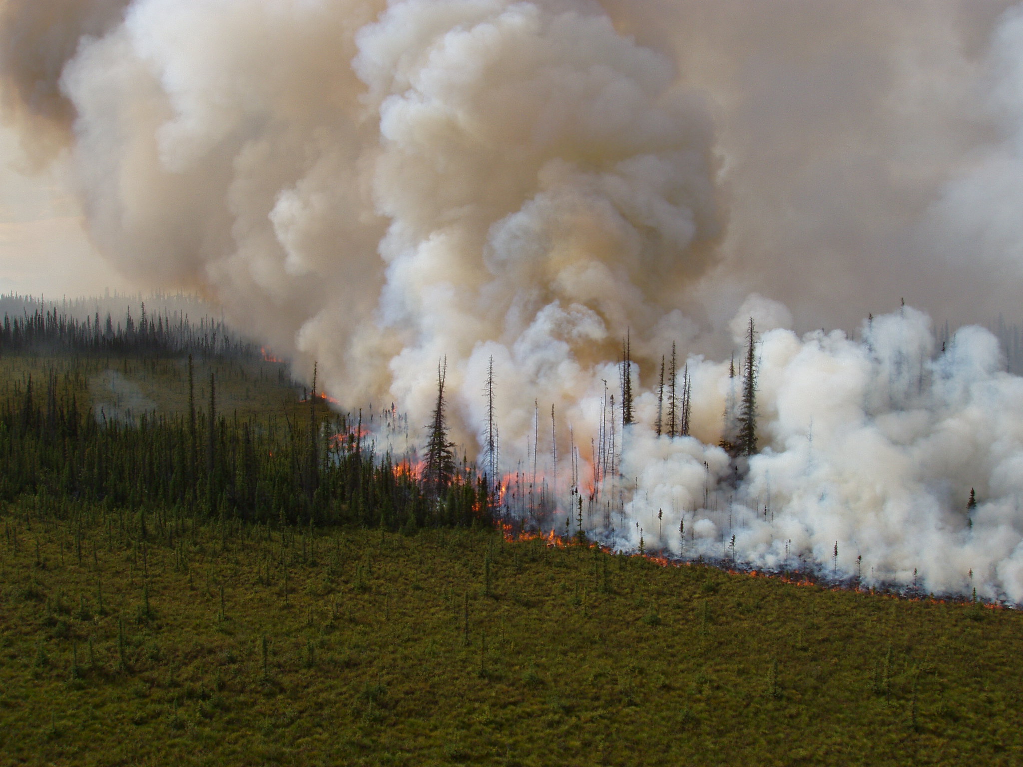 Alaska Saw More Wildfires In The Last Century Than In The Previous 3,000 Years