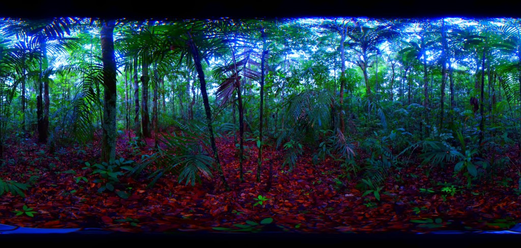 Amazon rainforest is transitioning to a 'hypertropical' climate — and trees won't survive that for long