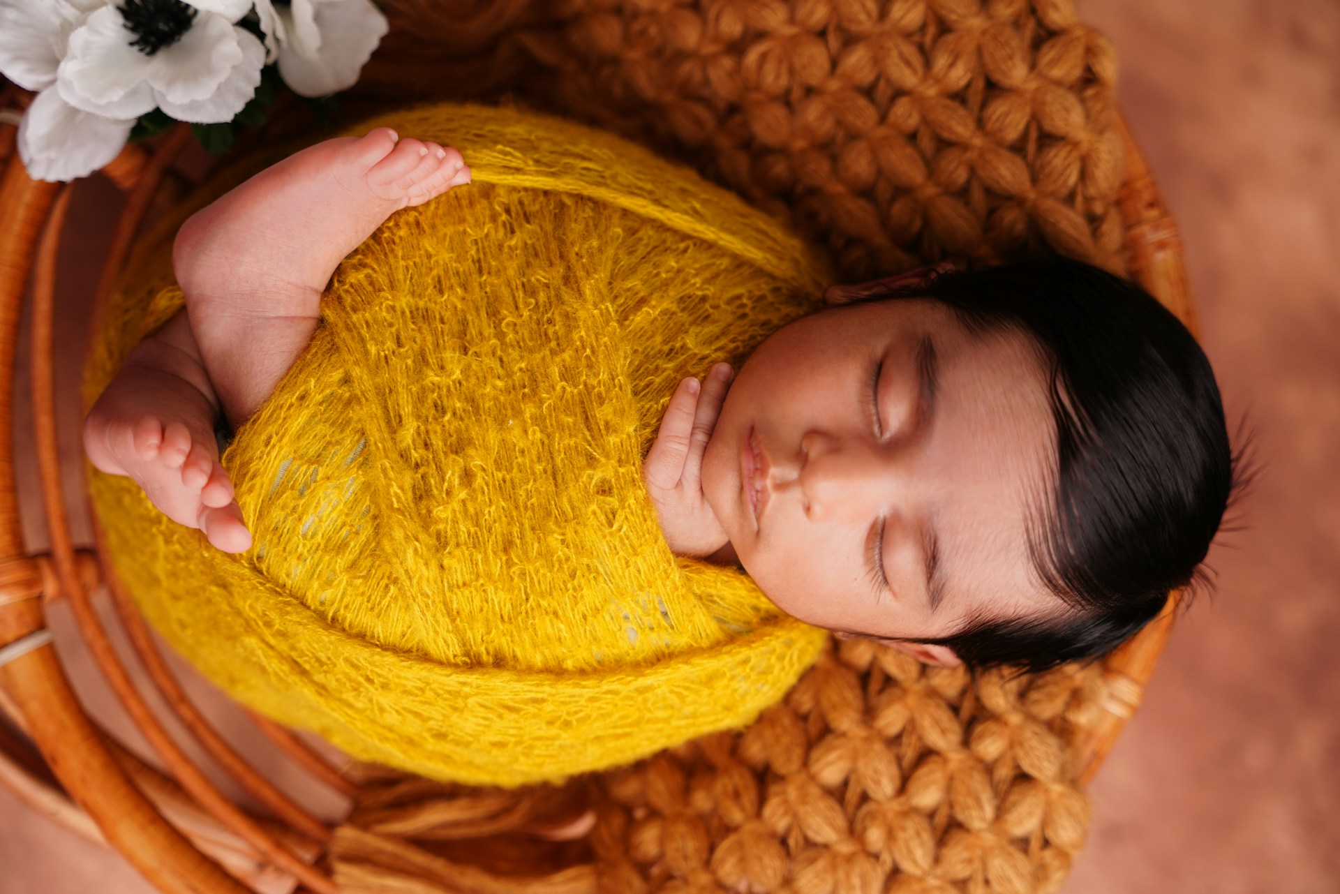 Catholic bishops beg Supreme Court to stop Trump: 'Protect God-given human dignity'