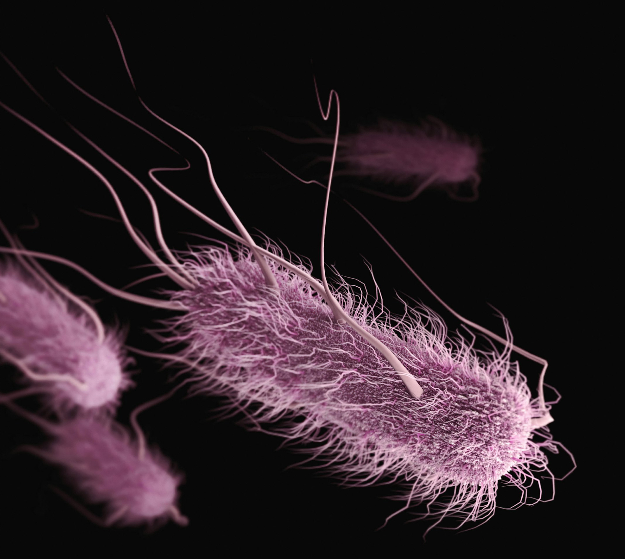 Oral vaccine could fight colorectal cancer