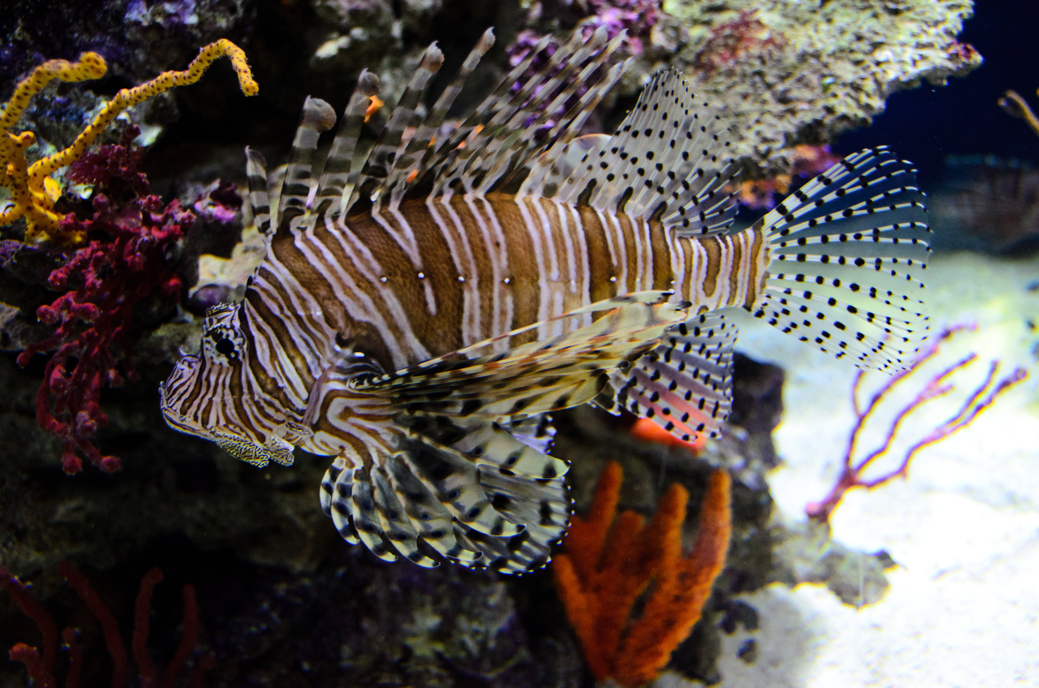 Can you profit off nature without destroying it? These venture capitalists are betting on it.