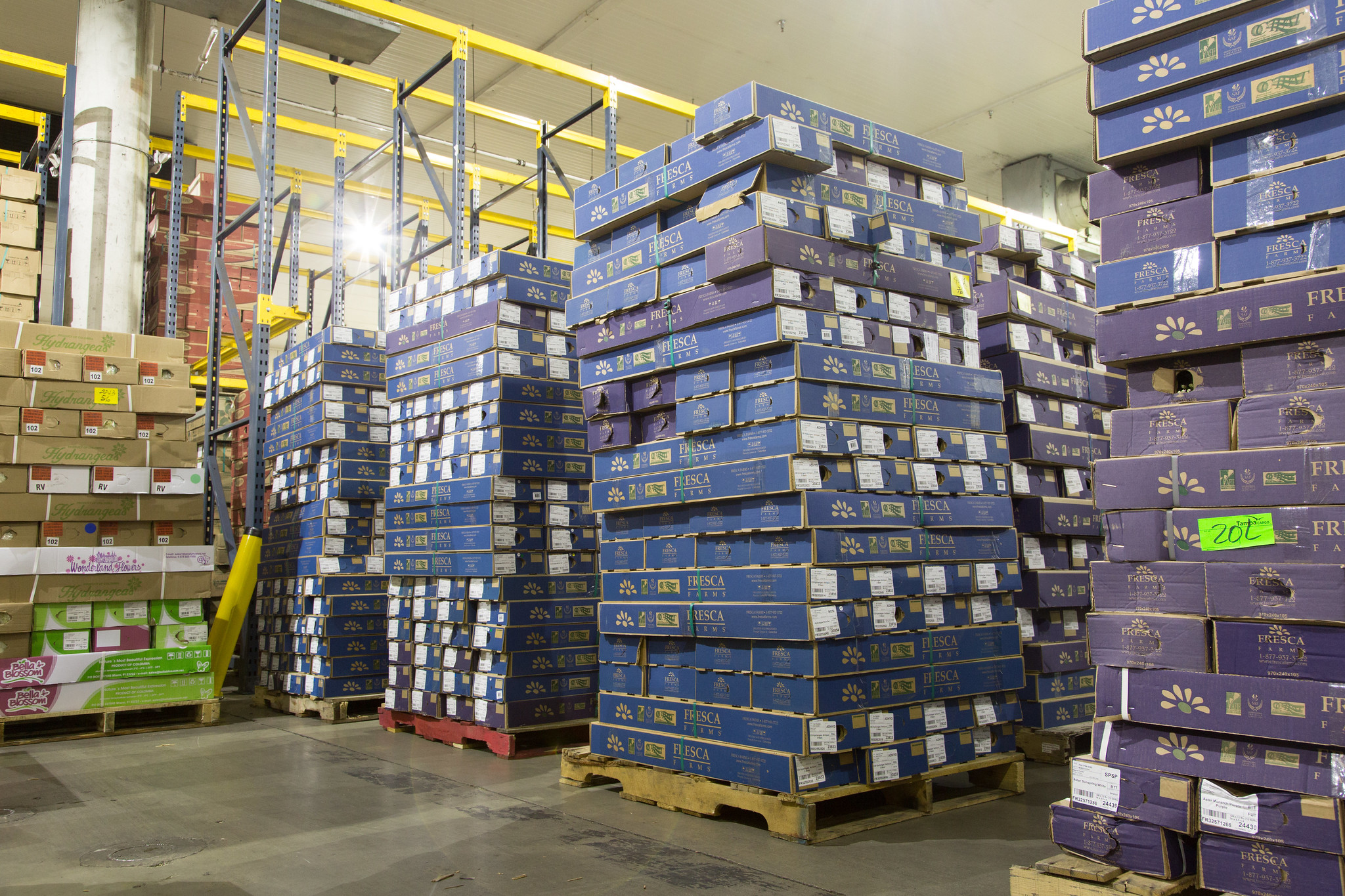 Tariff refund site: What it is, how to use it